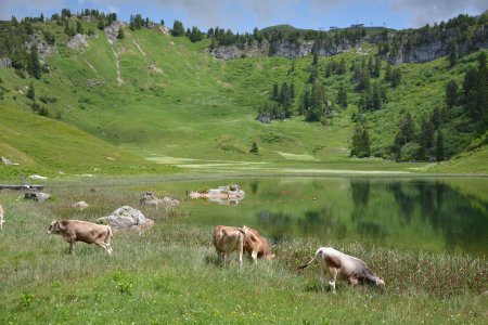 Nejkrásnější jezero v Rakousku