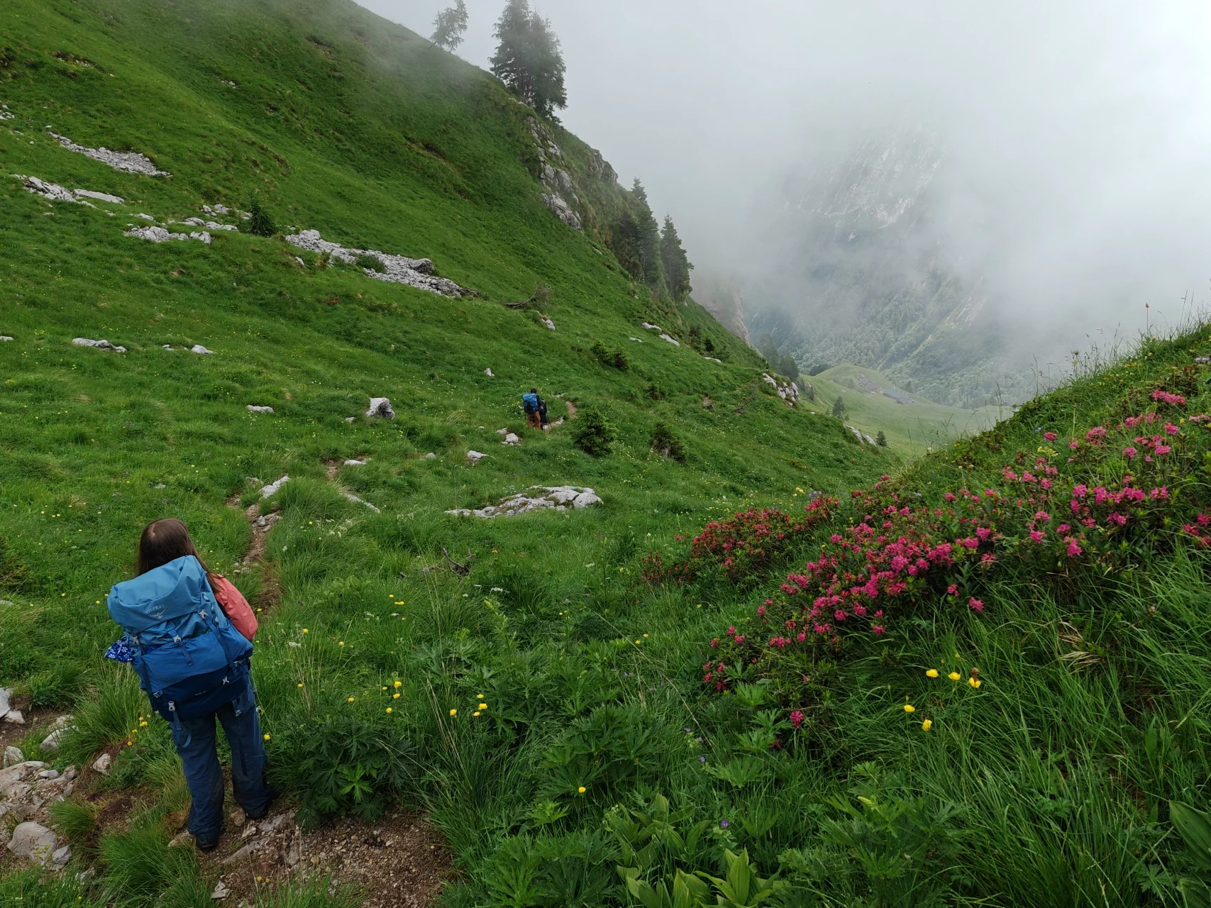 Alta Via 1 Bellunské Dolomity