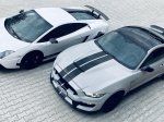 Lamborghini vs Mustang