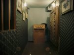 Pokusné krysy – tajný experiment v Brně