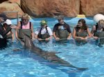 Marineland Francie