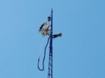 Bungee jumping Brno