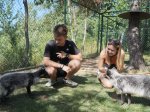 Procházka s polární liškou