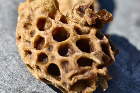 Včely jsou zážitek