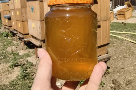 Včely jsou zážitek