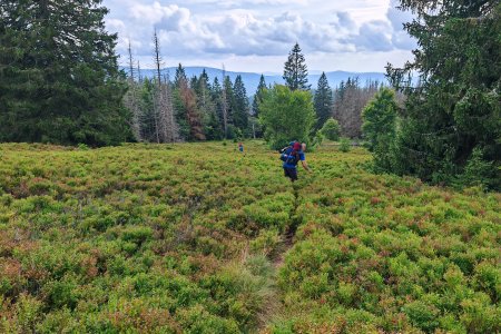 Přechod Šumavy tak trochu jinak