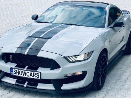 Rozlučka se svobodou pro ženicha