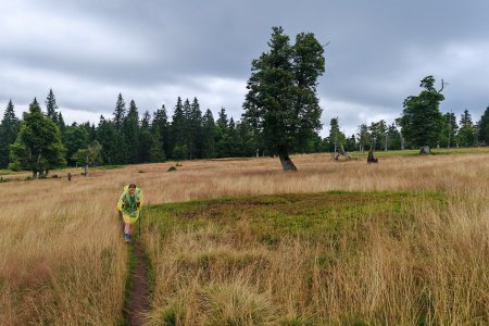 Přechod Šumavy tak trochu jinak